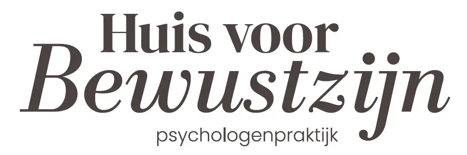 Scherm afbeelding 2024 12 11 om 20.25.35